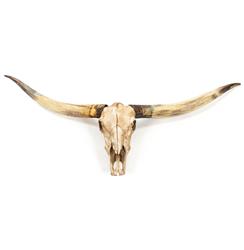 Texas Longhorn Steer Skull Rustic Lodge Reproduction Wall Mount Sculpture