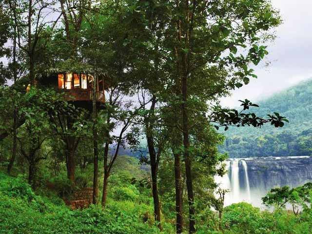 Top 5 Tree House Resorts in Kerala