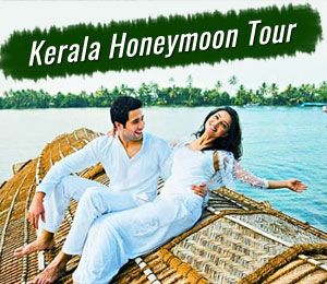 kerala-honey.jpg