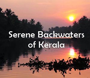 serene-backwaters-of-kerala.jpg