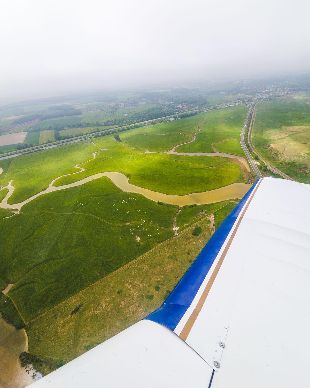 flying over sheeps in the bay