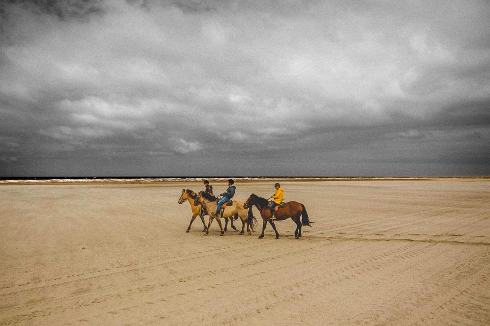 Horseback Riding in the Baie de Somme