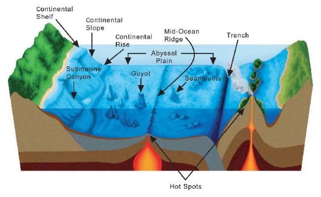 Oceanic Plates