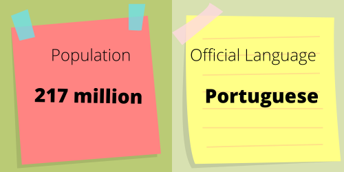 brazil population 2024