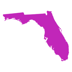 map outline shape of Florida