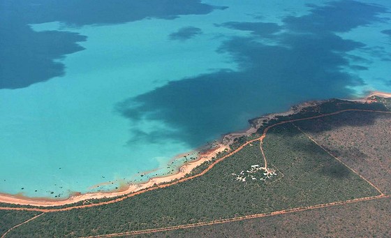 Broome Bird Observatory