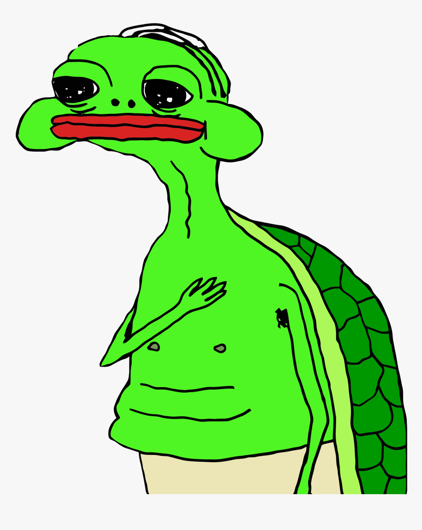 Pepe Sad Png - Oh My Gawd Turtle Meme, Transparent Png, Free Download