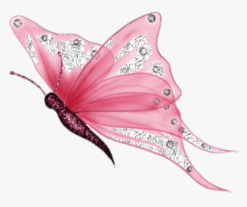 Imagenes De Mariposas Png , Png Download - White Butterfly Png, Transparent  Png - kindpng