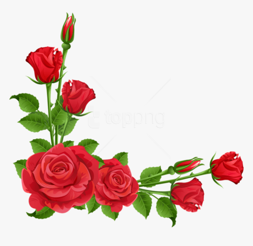 Transparent Png Images Roses - Transparent Background Roses Border, Png Download, Free Download