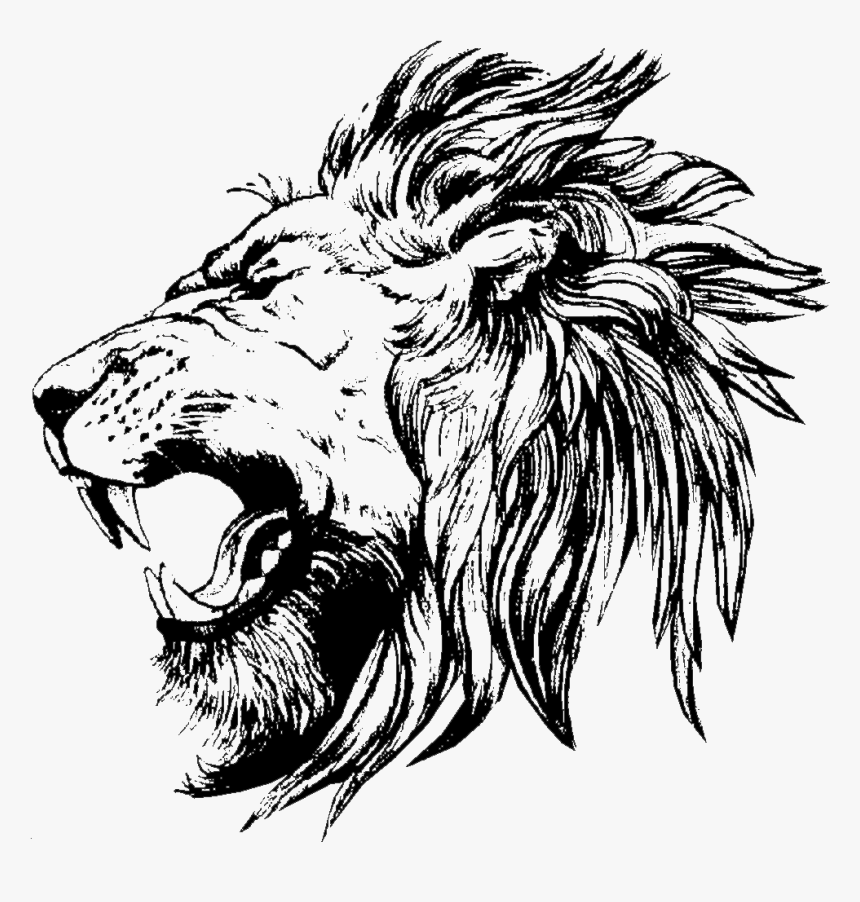 Lion Tattoo Clipart Bike Lion Roaring Side View Drawing Png | Sexiz Pix