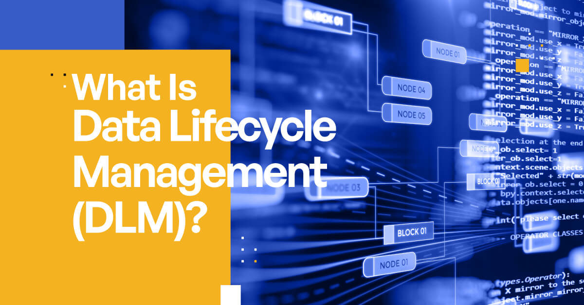 Data Lifecycle Management (DLM): Data Lifecycle Management, Data ...