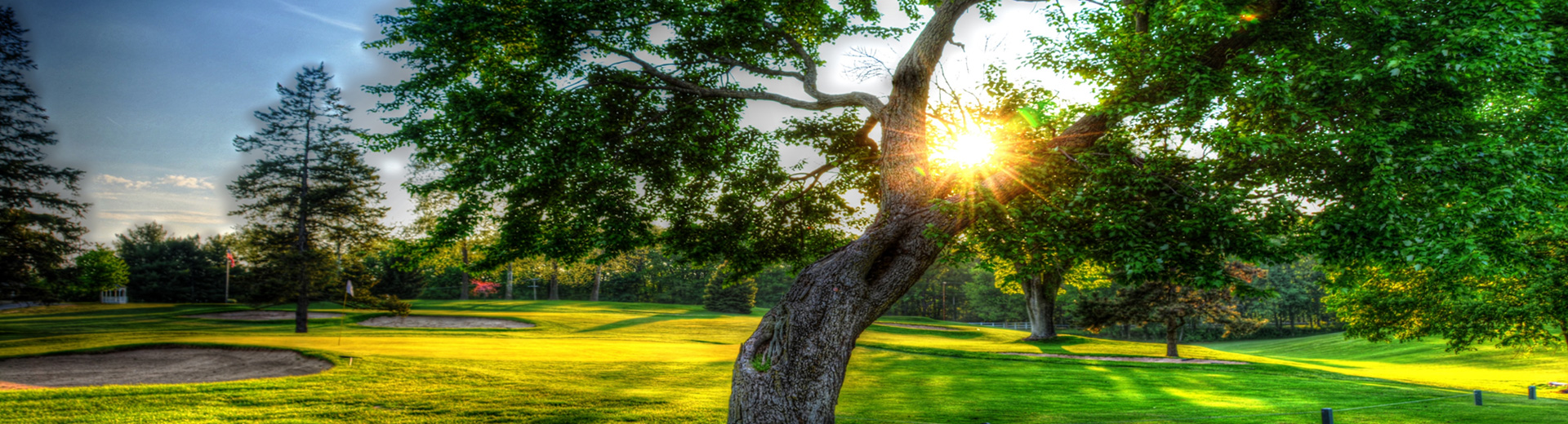 view of golf course with trees