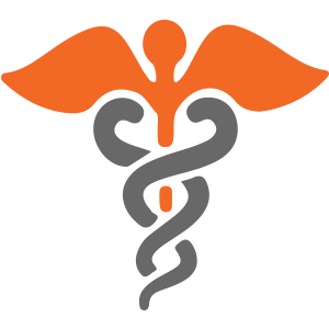 Healthcare Logo