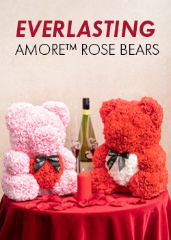 amore rose bears