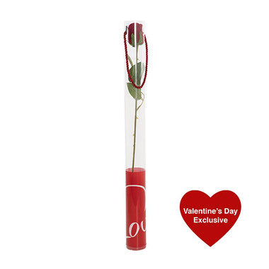 Artificial Roses - Velvet Rose Bud & Acetate Cylinder Love Tube Red (5.5x60cmH)