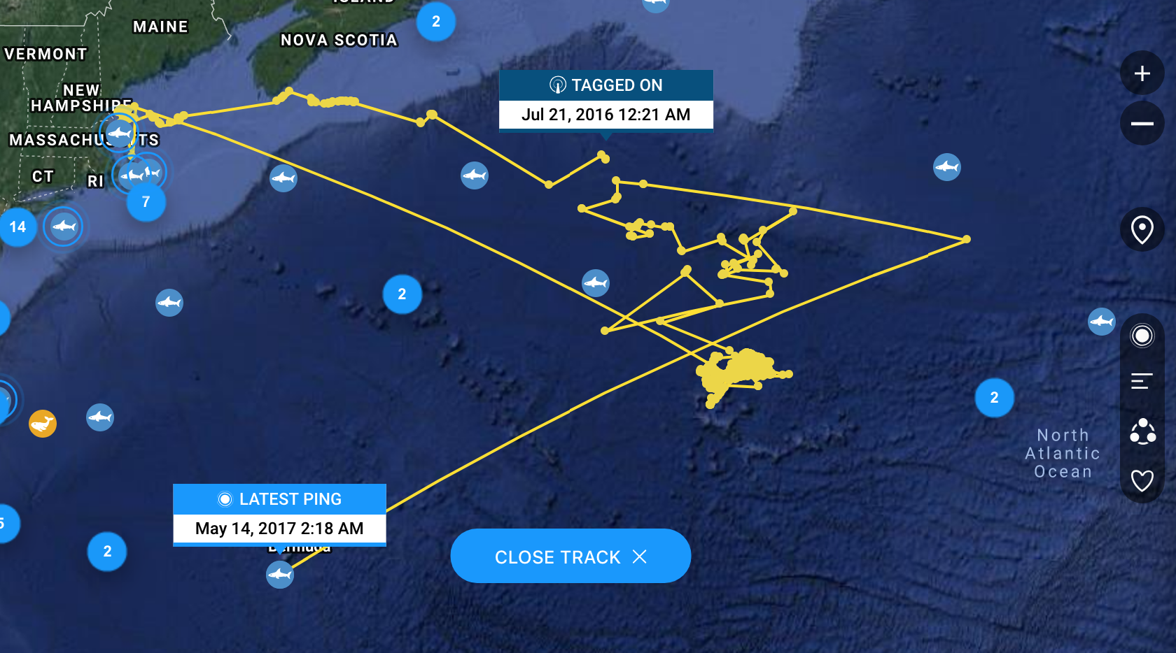 White Shark Tracking Map