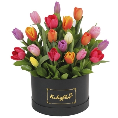 Box of Tulips