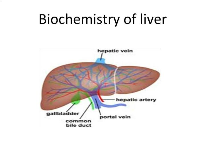 Liver Function Test