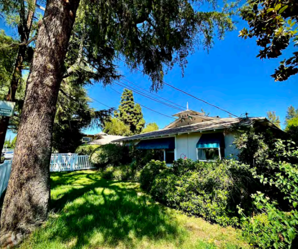 One story bungalow with birdhouse roof feature foregrounded by large pine tree