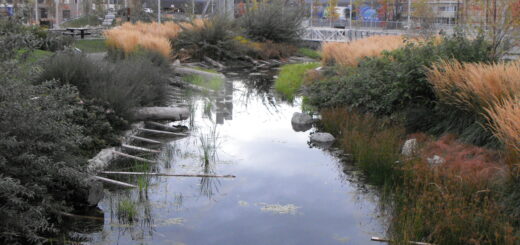 Stormwater management pond located on the south side of False Creek near downtown Vancouver, BC.