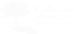 Lakeview Methodist Health Services