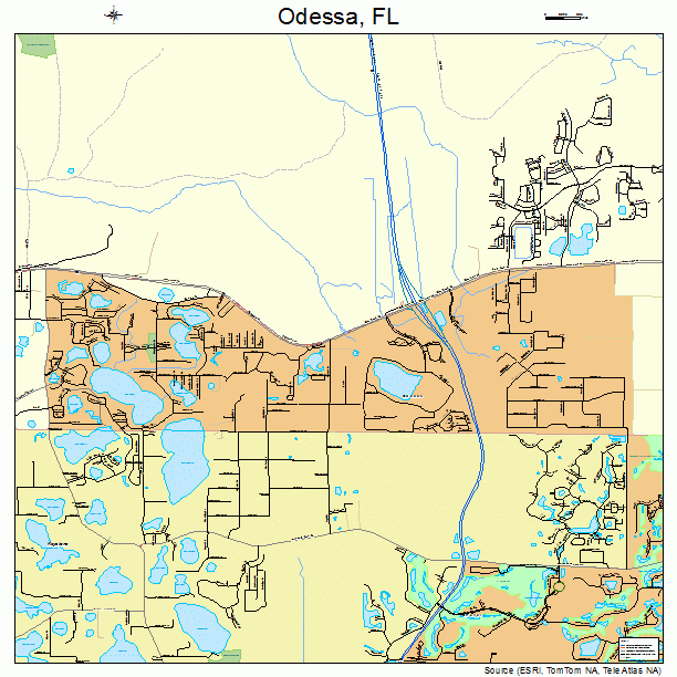 Odessa, FL street map