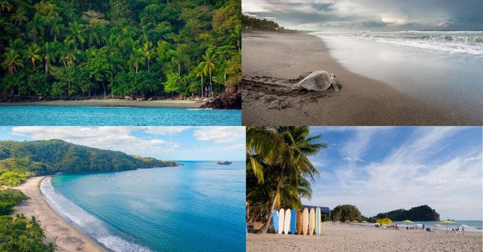 Las 9 mejores playas de Costa Rica para practicar surf, snorkel y ...