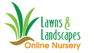 Lawns And Landscapes