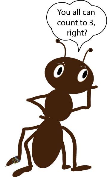 Ant