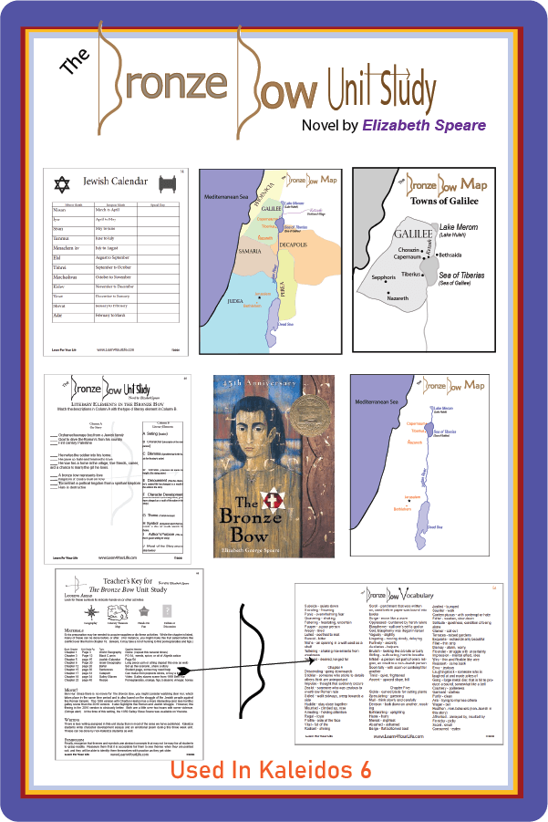 Bronze Bow Unit Study Lesson Plan and Poster