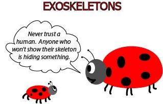 Exoskeleton Cartoon