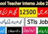 STI Jobs 2025 Apply Online