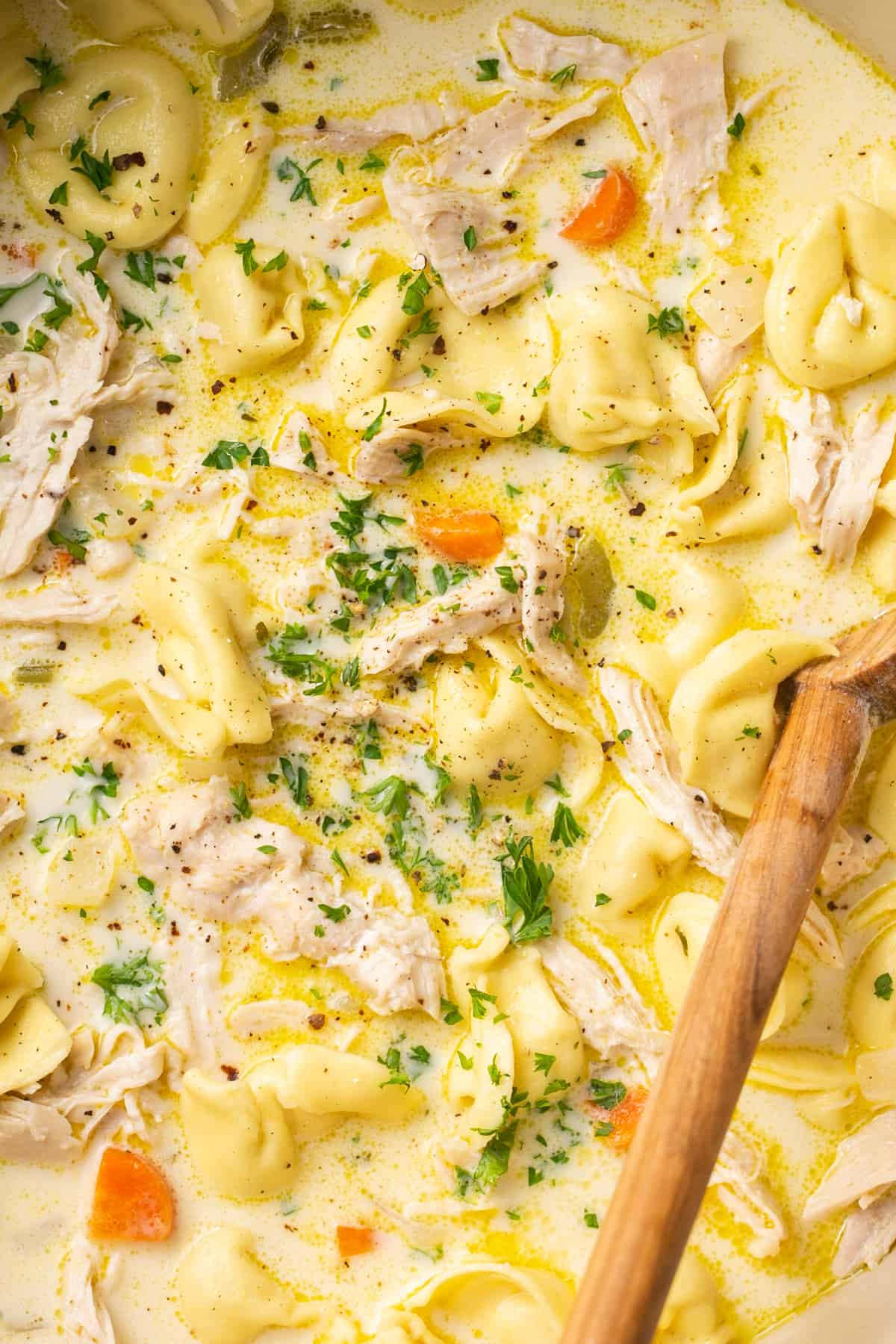 up close chicken tortellini soup with wooden spoon