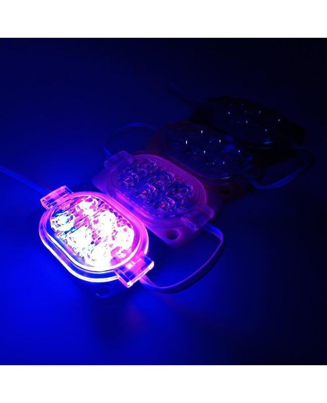 12 Volt LED Module