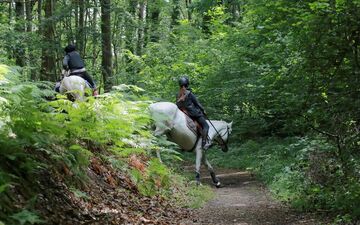  L’Ile-de-France compte de nombreux sentiers et chemins accessibles à cheval, comme ici dans les Yvelines.