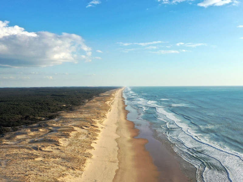 vue aerienne du littral de medoc plein sud de la forêt des landes de la dune et de l'océan