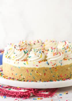 A funfetti no bake cheesecake on a white plate