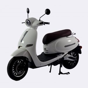 Adult Electric Moped