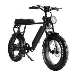 Fat Tire Electric Bike