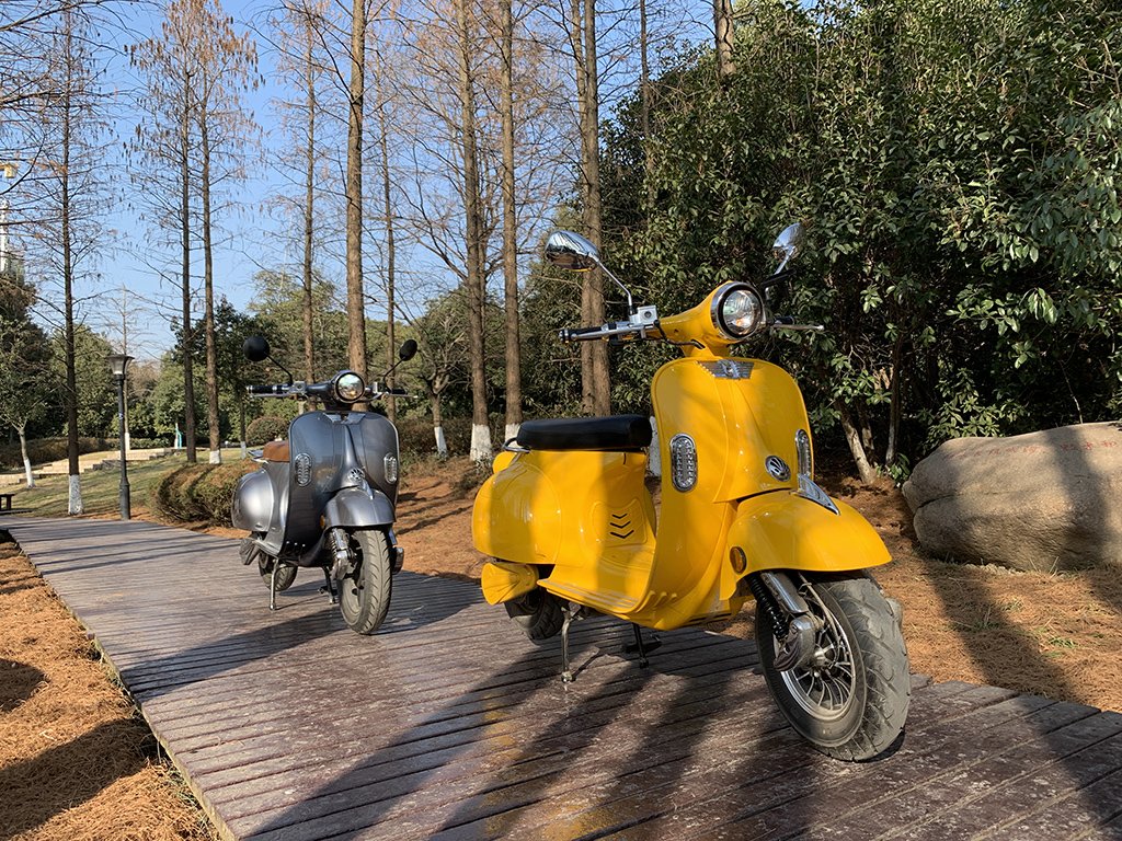 electric moped manufacturer