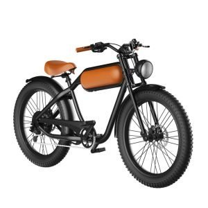 fat tire electric bike 1000w