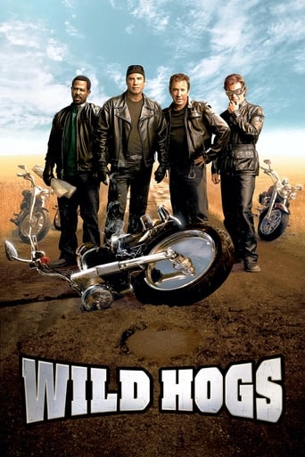 Wild Hogs (2007)