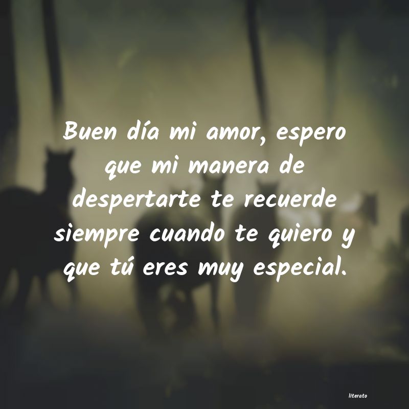 Frases eres especial - Literato