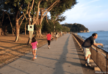 Labrador Nature Park: One Park, Two Worlds & Keppel Coastal Trail