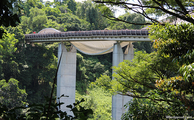 Henderson Waves