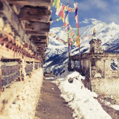 Trekking Solo vs. Guided Tours on the Annapurna Circuit