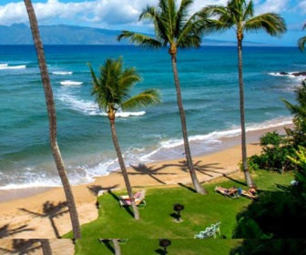 Maui Sea Shell Condo Beach Webcam