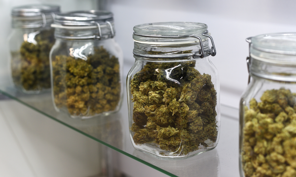 The Ultimate Guide to Keeping Your Weed Fresh