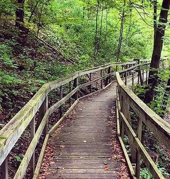 Wooden bridge pathway in Longwoods Road Conservation Area