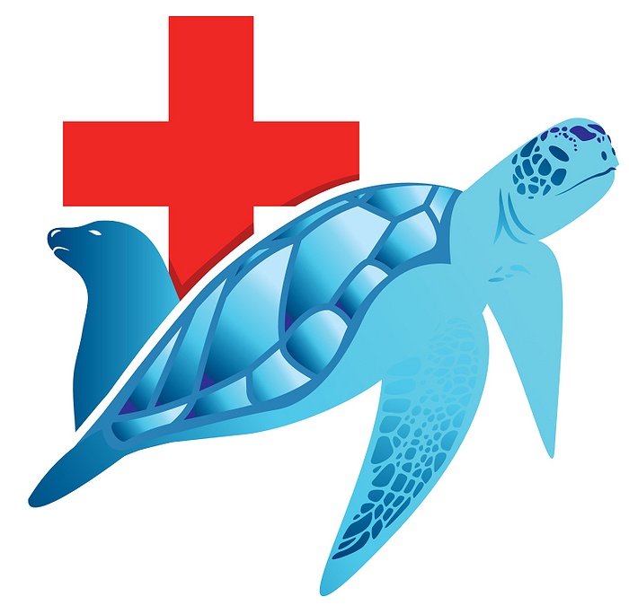 New York Marine Rescue Center (NYMRC)– Cold Stun Sea Turtle Lecture ...